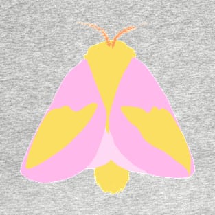 Moth T-Shirt